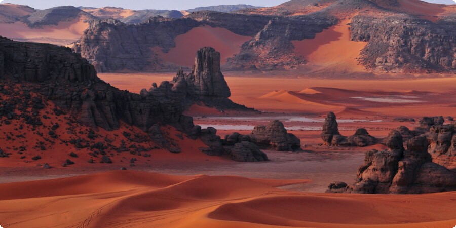 Immerse Yourself in Algeria